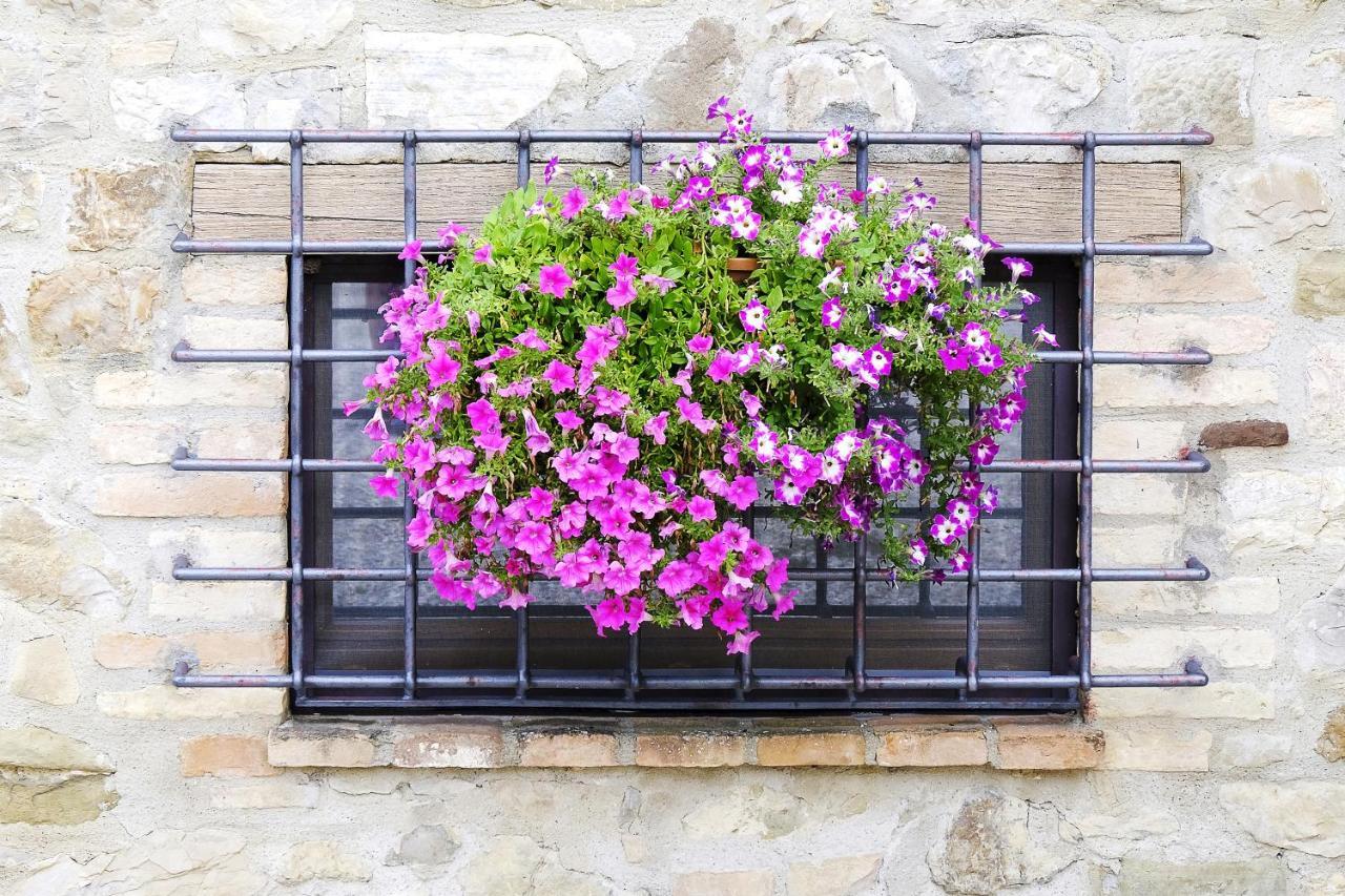 Casale Le Orme Bed & Breakfast Todi Bagian luar foto