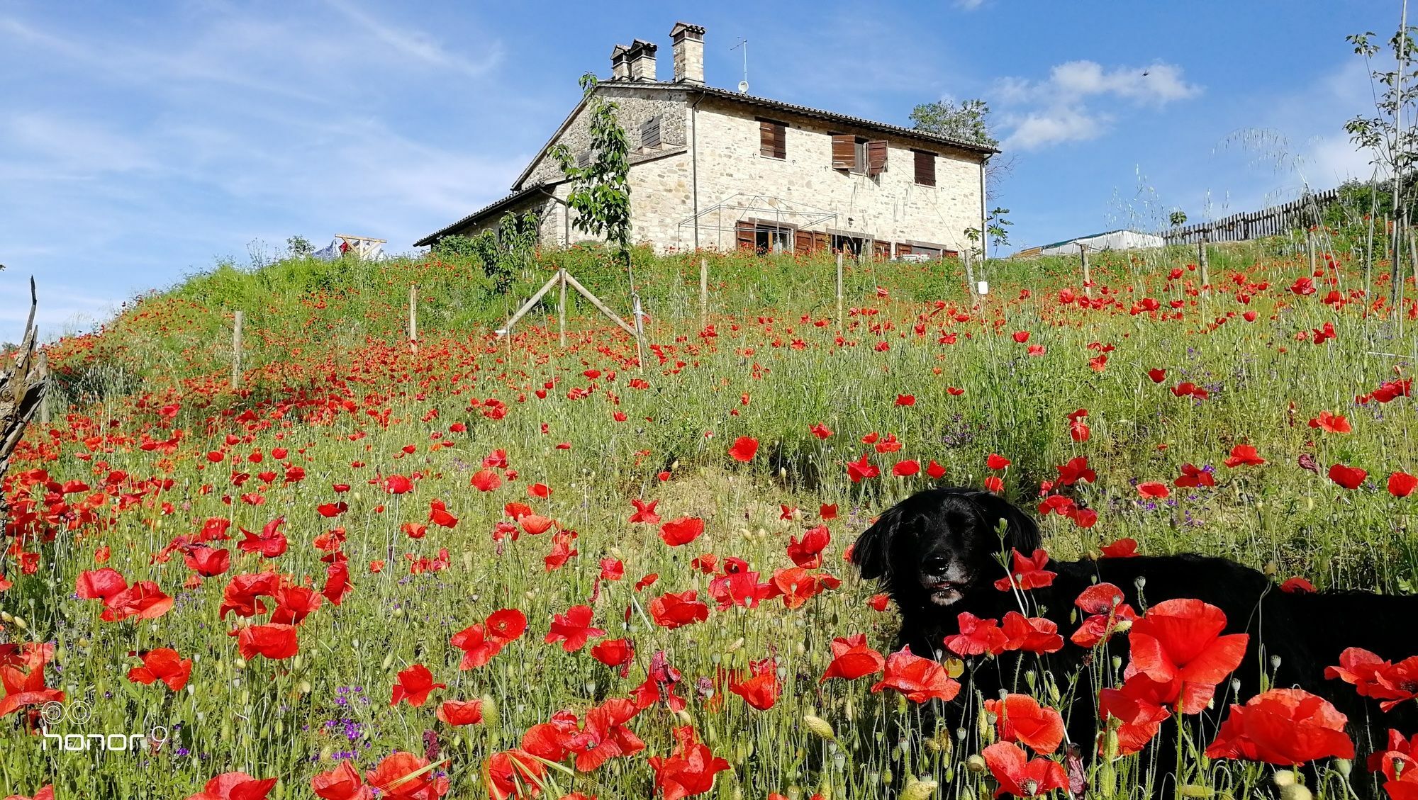 Casale Le Orme Bed & Breakfast Todi Bagian luar foto